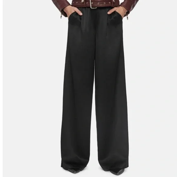 Anine Bing Romy Wide Leg Silk Pants MEDIUM, Never Worn, Orig $300 - Picture 2 of 11
